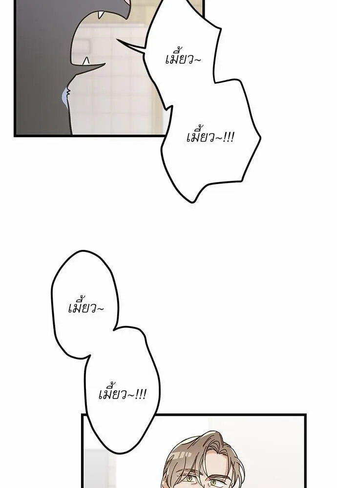 My One and Only Cat ตอนที่ 3523