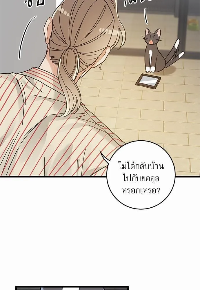 My One and Only Cat ตอนที่ 3525
