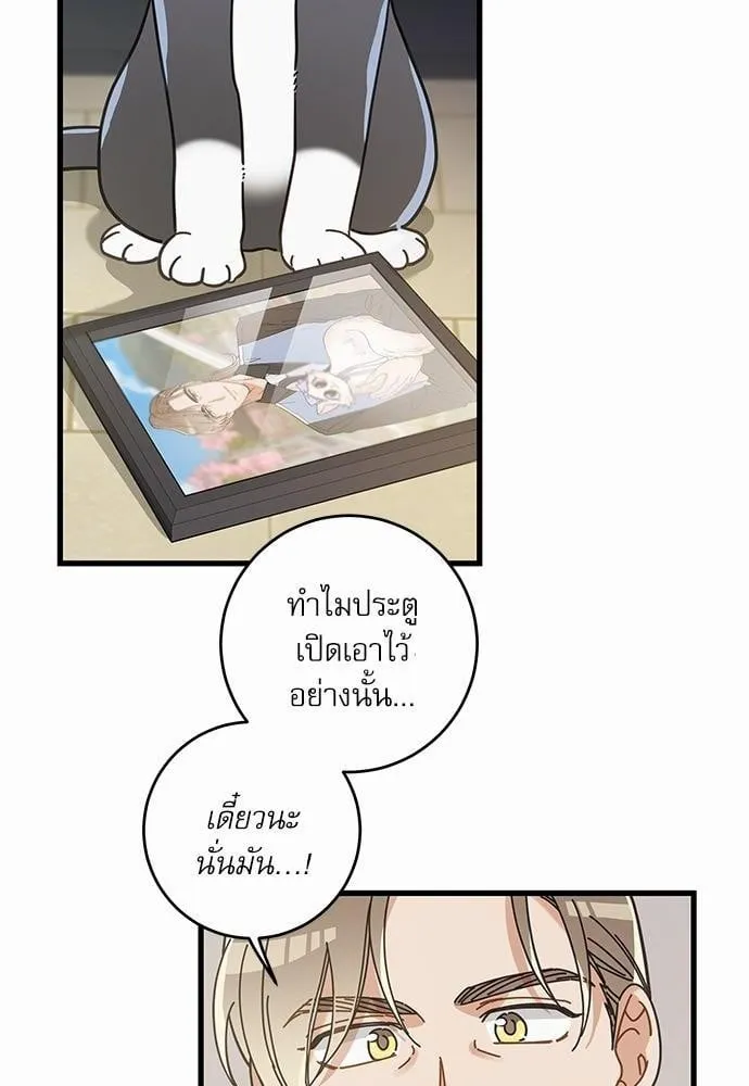 My One and Only Cat ตอนที่ 3526