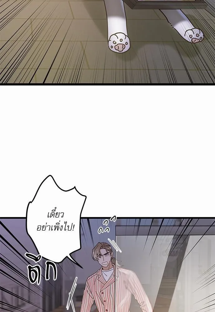 My One and Only Cat ตอนที่ 3529