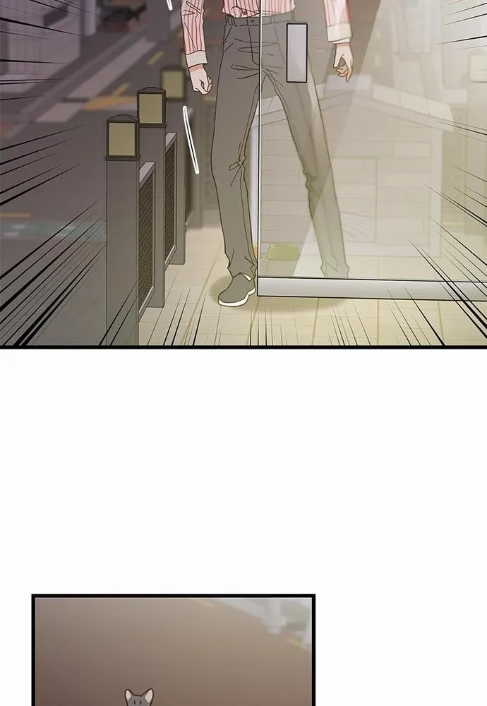 My One and Only Cat ตอนที่ 3530