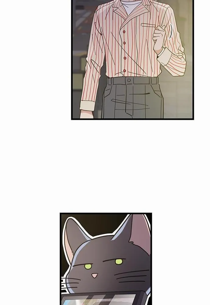 My One and Only Cat ตอนที่ 3532