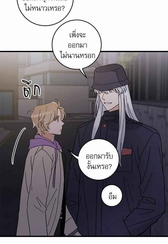 My One and Only Cat ตอนที่ 3537