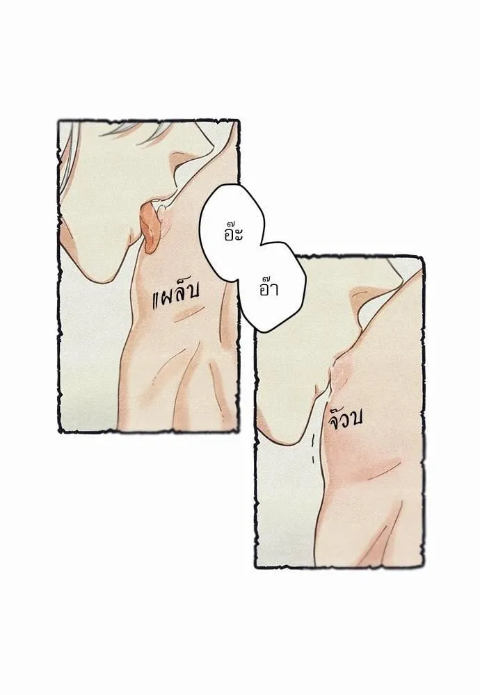 My One and Only Cat ตอนที่ 354 My One and Only Cat ตอนที่ 354