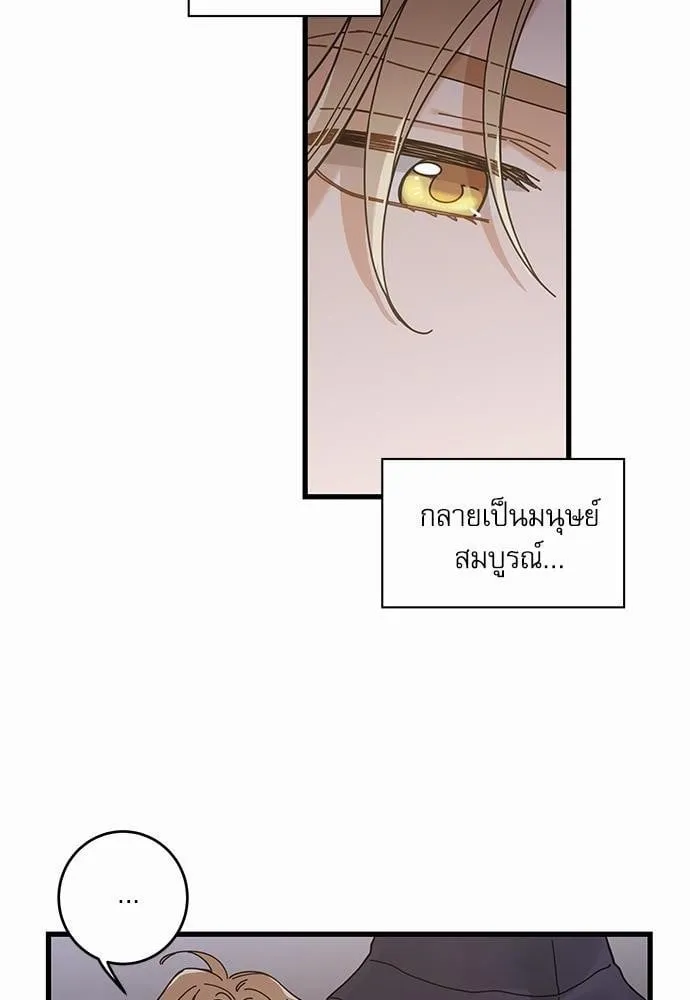 My One and Only Cat ตอนที่ 3540