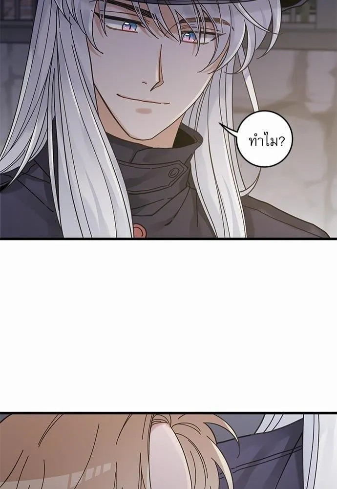 My One and Only Cat ตอนที่ 3542