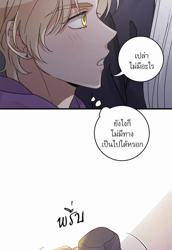 My One and Only Cat ตอนที่ 3543