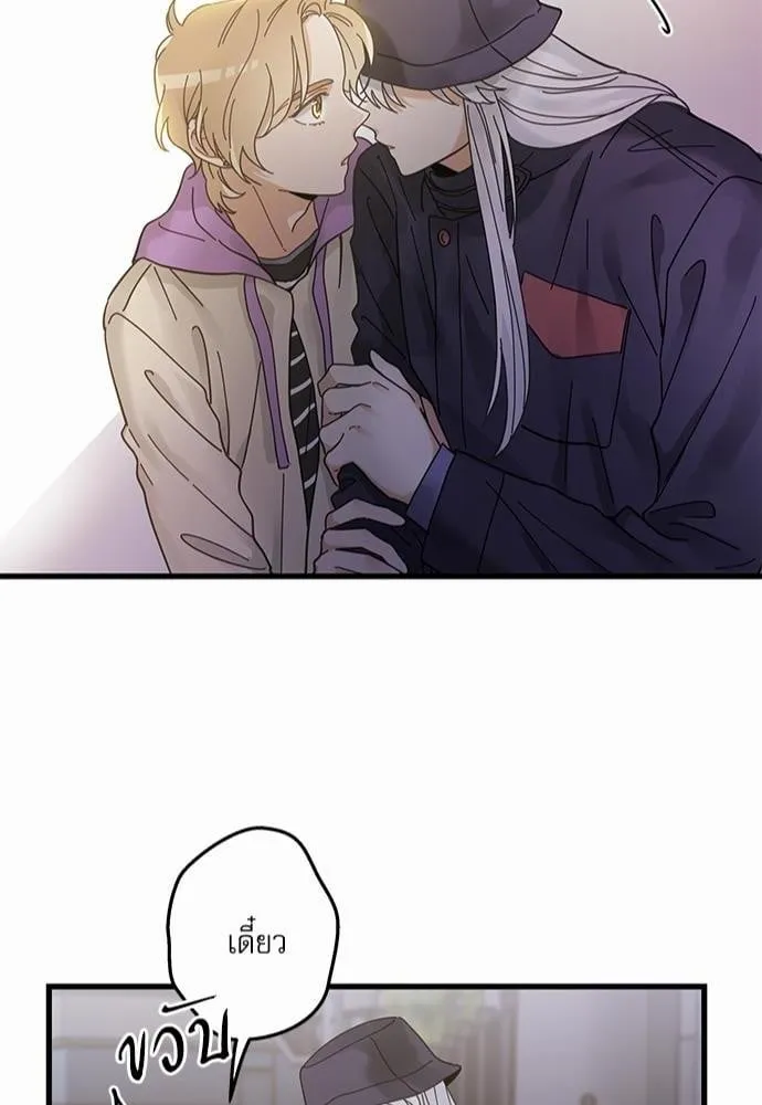 My One and Only Cat ตอนที่ 3544