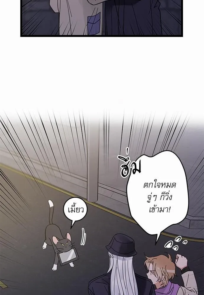 My One and Only Cat ตอนที่ 3558