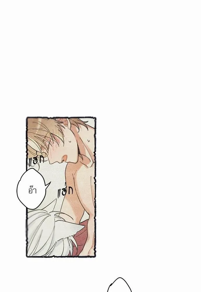 My One and Only Cat ตอนที่ 356 My One and Only Cat ตอนที่ 356