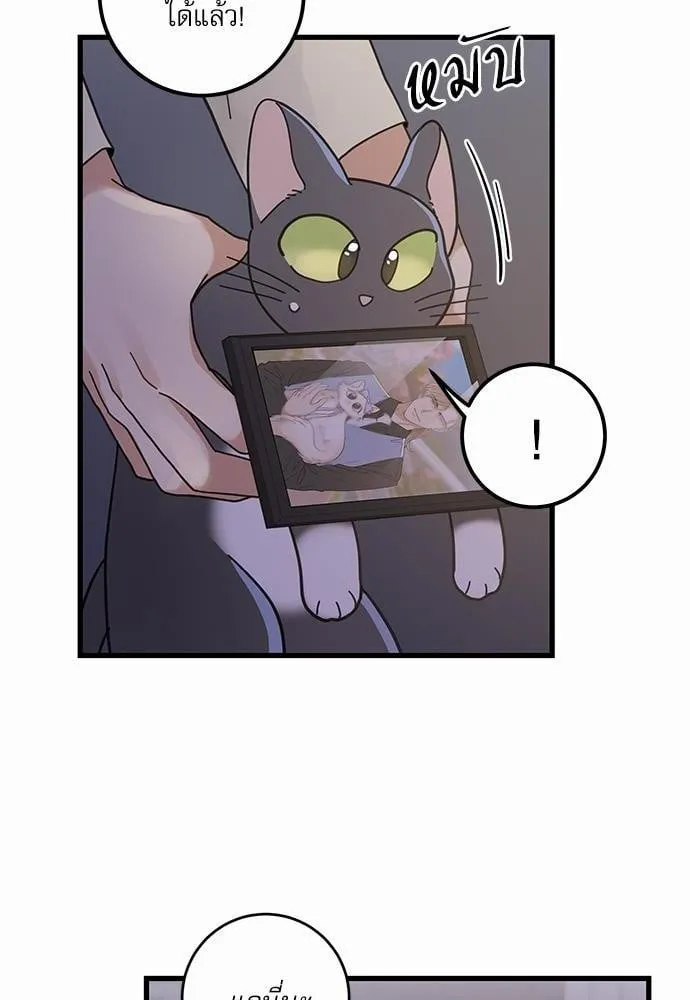 My One and Only Cat ตอนที่ 3560