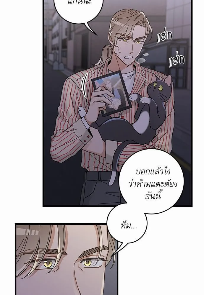My One and Only Cat ตอนที่ 3561