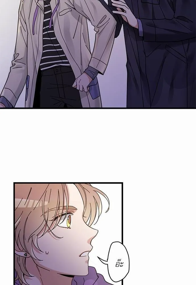 My One and Only Cat ตอนที่ 3566