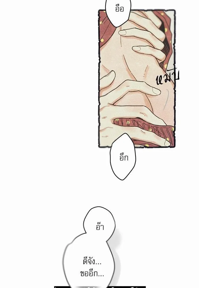 My One and Only Cat ตอนที่ 357 My One and Only Cat ตอนที่ 357