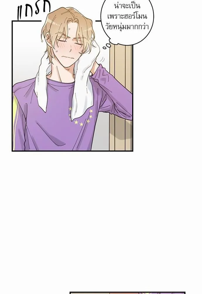 My One and Only Cat ตอนที่ 360 My One and Only Cat ตอนที่ 360