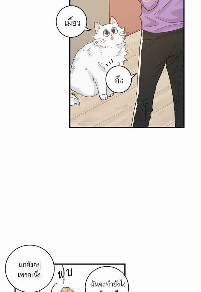My One and Only Cat ตอนที่ 361 My One and Only Cat ตอนที่ 361