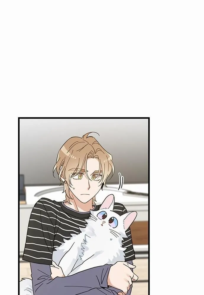 My One and Only Cat ตอนที่ 3610