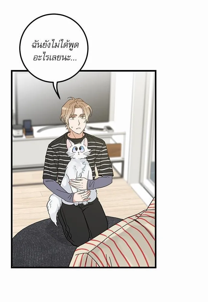 My One and Only Cat ตอนที่ 3613