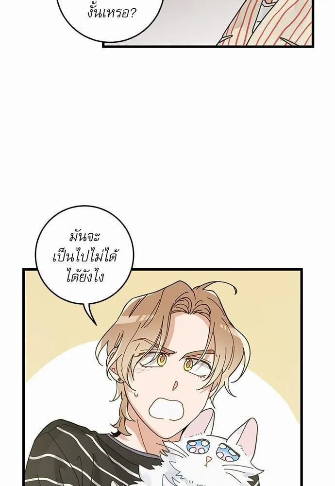 My One and Only Cat ตอนที่ 3615