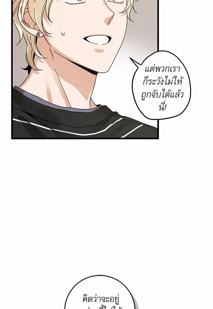 My One and Only Cat ตอนที่ 3618