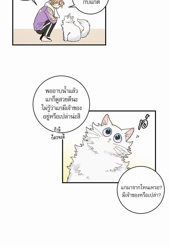 My One and Only Cat ตอนที่ 362 My One and Only Cat ตอนที่ 362
