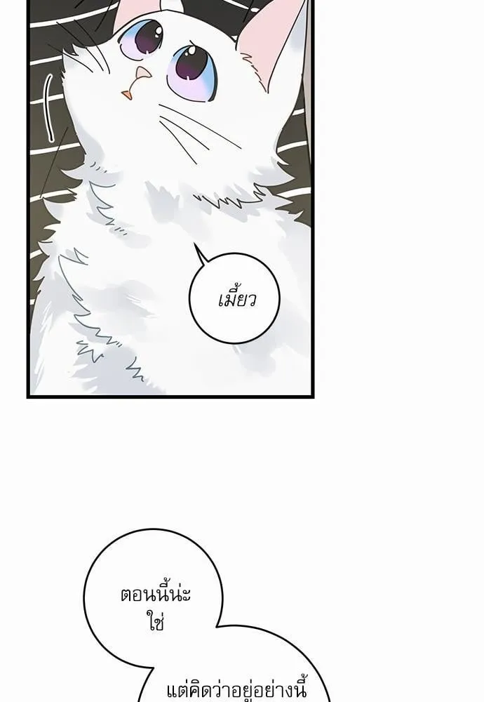 My One and Only Cat ตอนที่ 3621