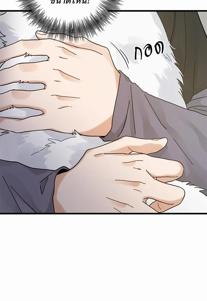 My One and Only Cat ตอนที่ 3625