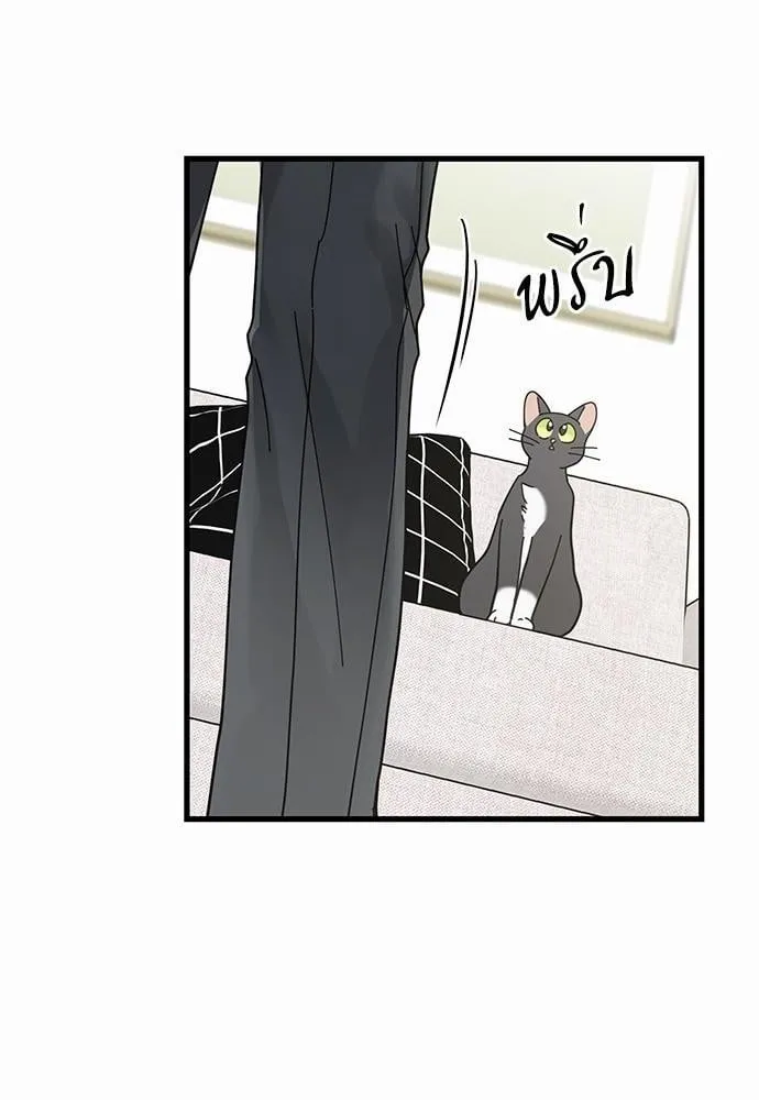 My One and Only Cat ตอนที่ 3626