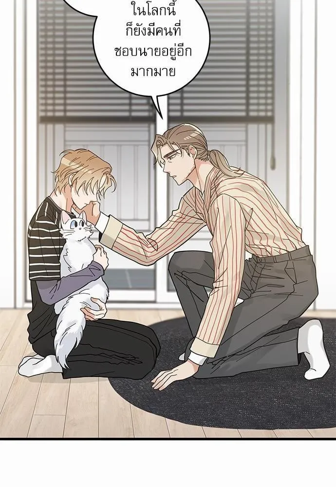 My One and Only Cat ตอนที่ 3628