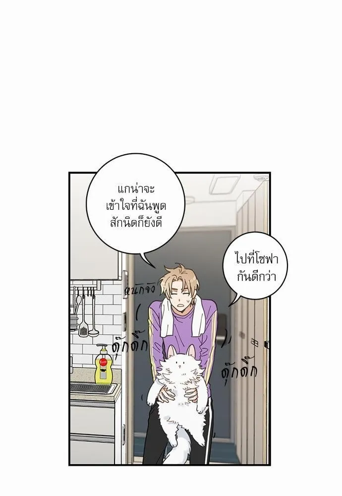 My One and Only Cat ตอนที่ 363 My One and Only Cat ตอนที่ 363