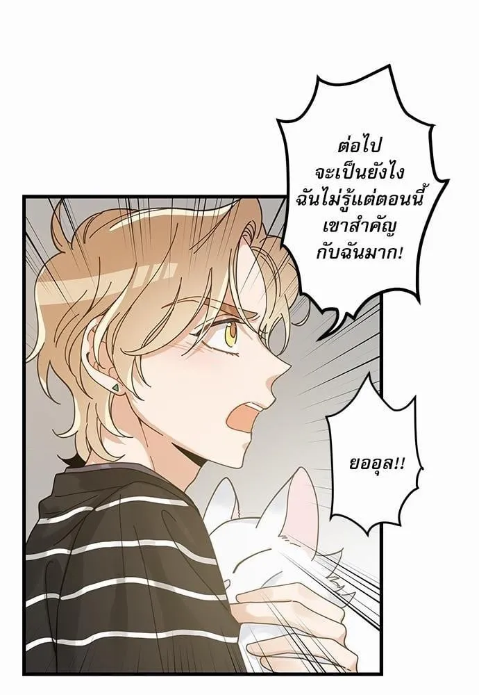 My One and Only Cat ตอนที่ 3630