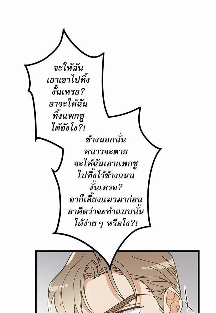 My One and Only Cat ตอนที่ 3631