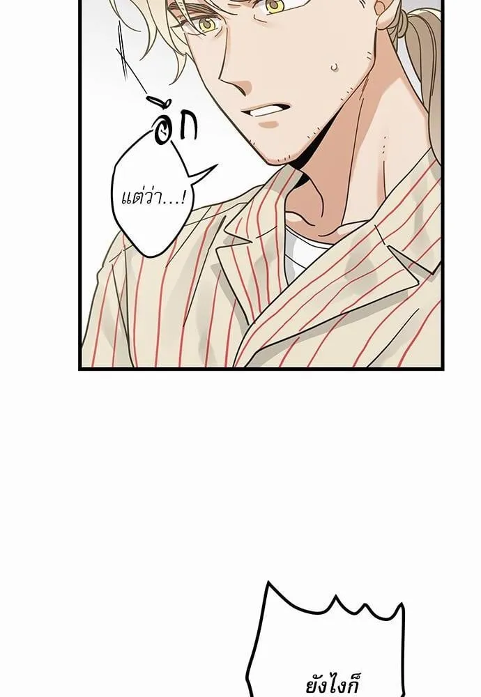 My One and Only Cat ตอนที่ 3632