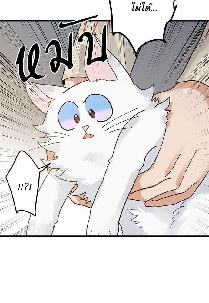 My One and Only Cat ตอนที่ 3633