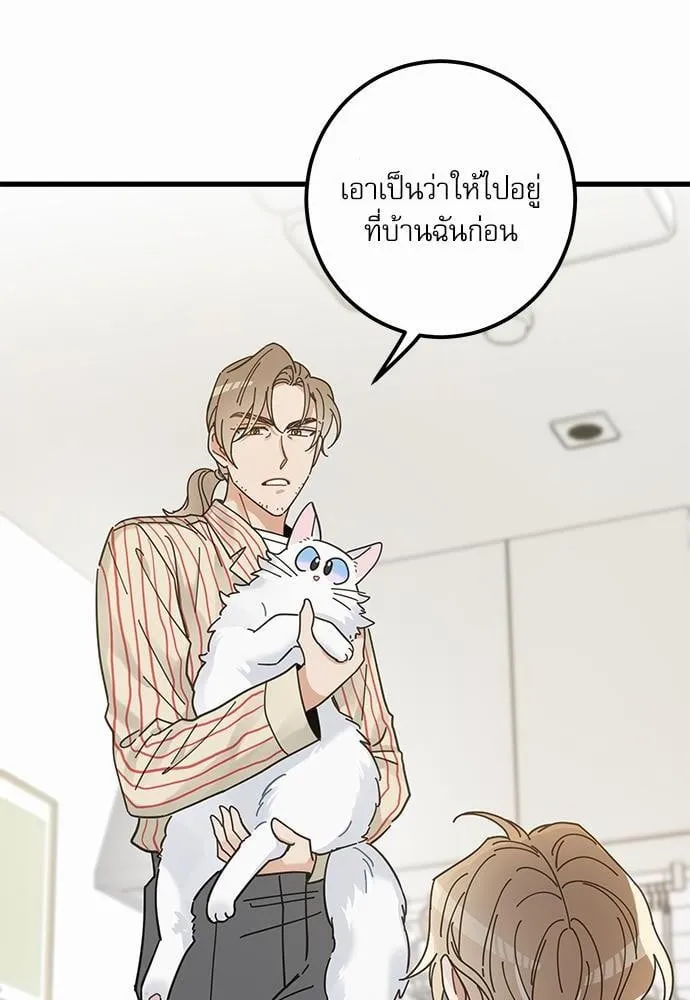 My One and Only Cat ตอนที่ 3634