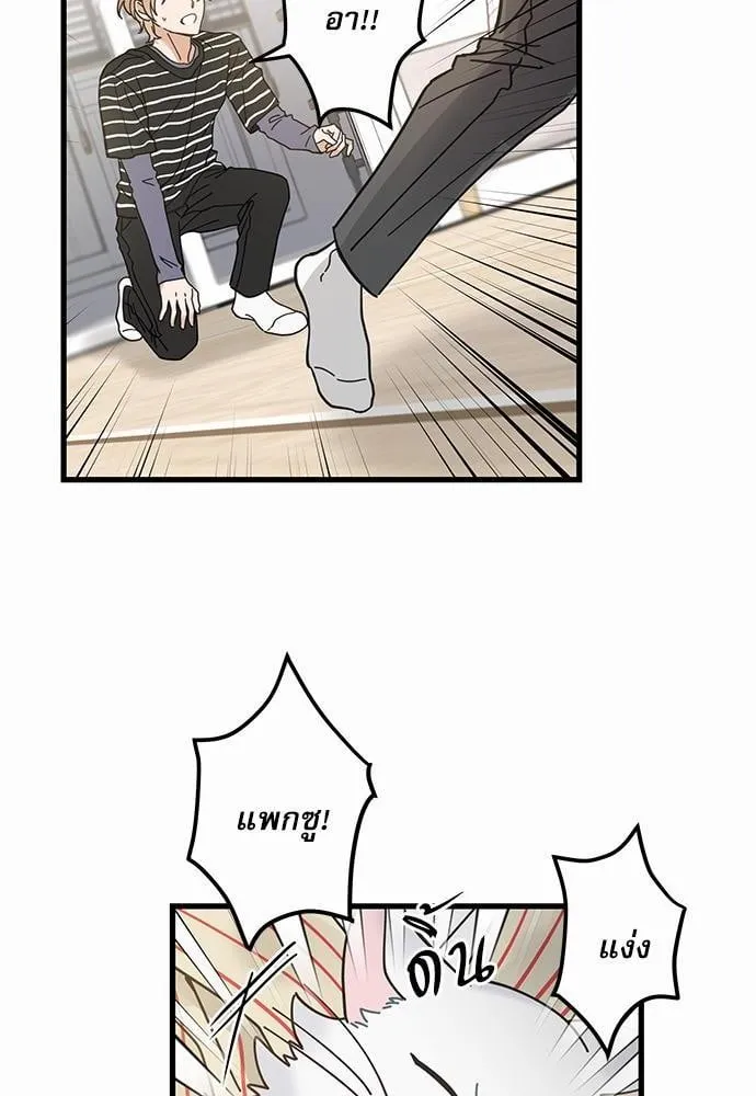 My One and Only Cat ตอนที่ 3636