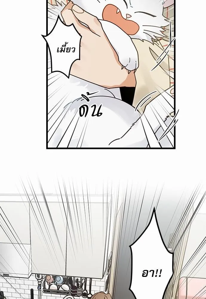 My One and Only Cat ตอนที่ 3637