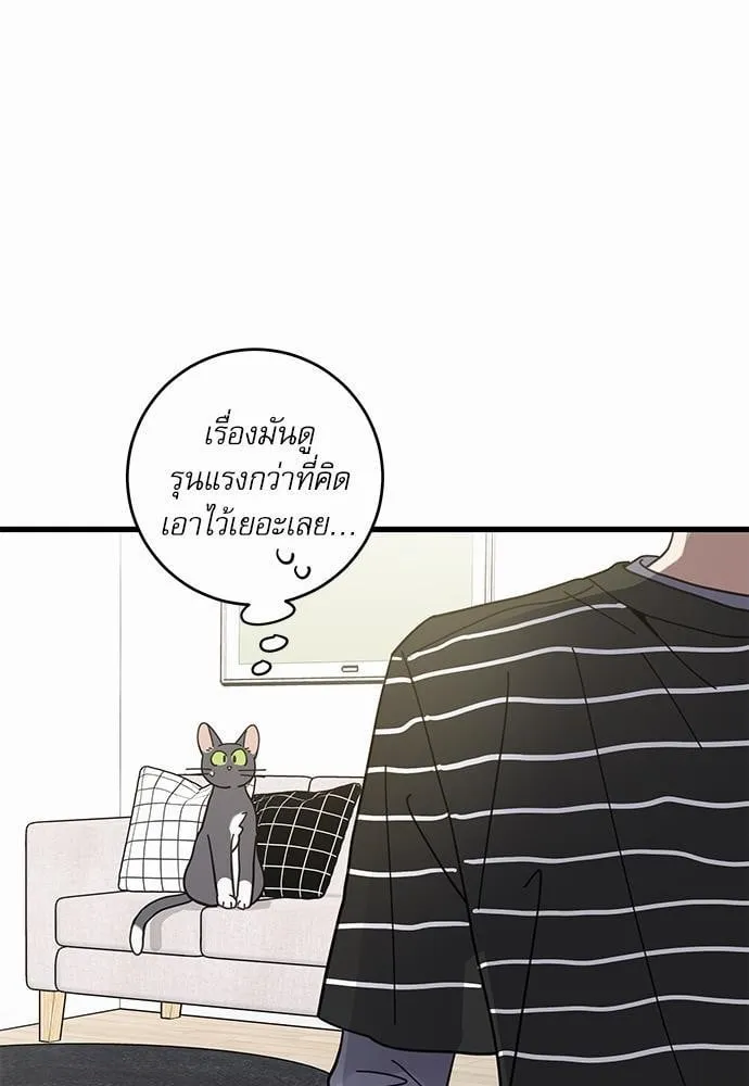 My One and Only Cat ตอนที่ 3639