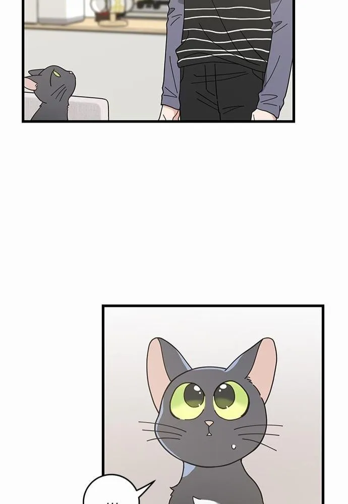 My One and Only Cat ตอนที่ 3642