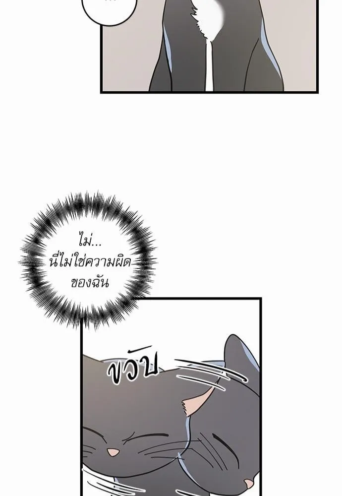 My One and Only Cat ตอนที่ 3643