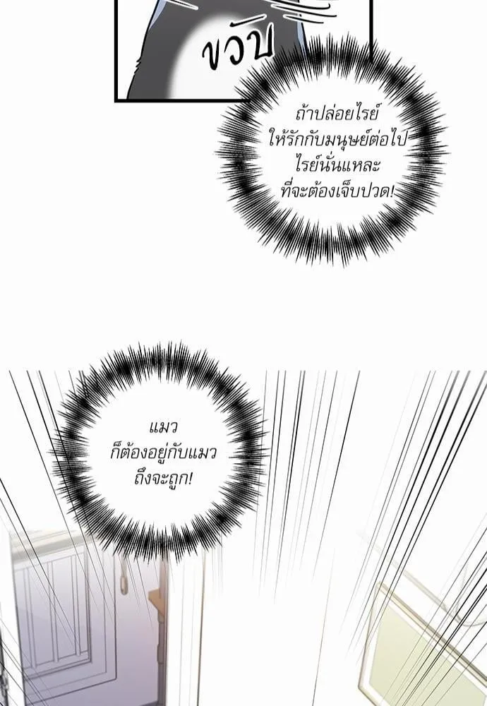 My One and Only Cat ตอนที่ 3644