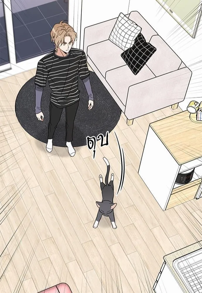 My One and Only Cat ตอนที่ 3645