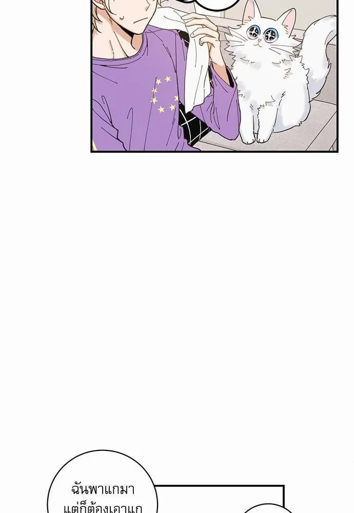 My One and Only Cat ตอนที่ 365 My One and Only Cat ตอนที่ 365