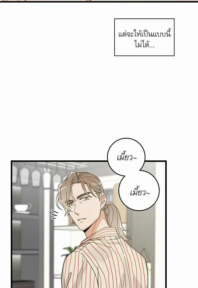 My One and Only Cat ตอนที่ 3651