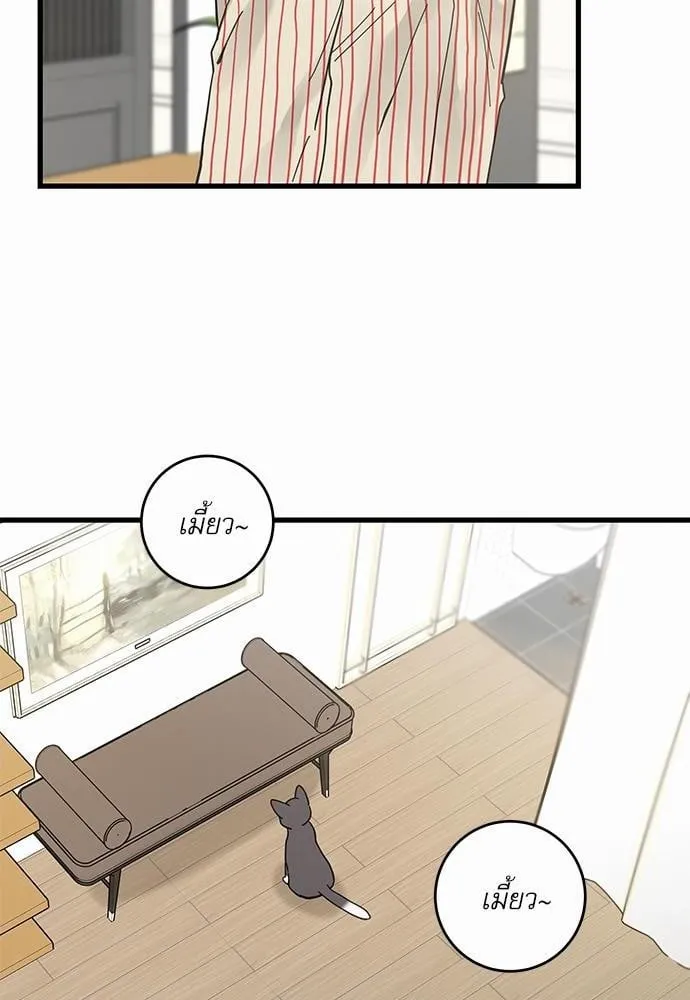 My One and Only Cat ตอนที่ 3652