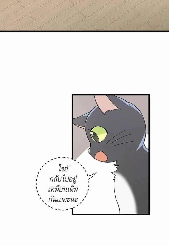 My One and Only Cat ตอนที่ 3653