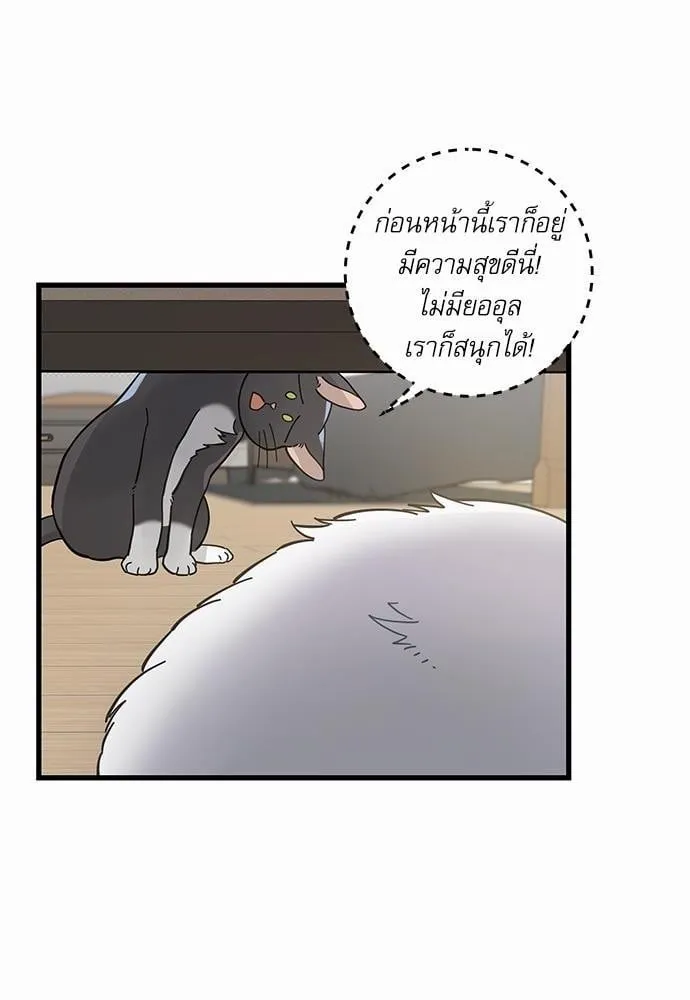My One and Only Cat ตอนที่ 3654