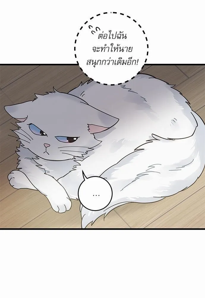 My One and Only Cat ตอนที่ 3655