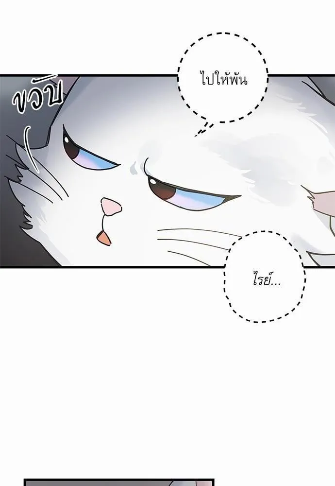 My One and Only Cat ตอนที่ 3656