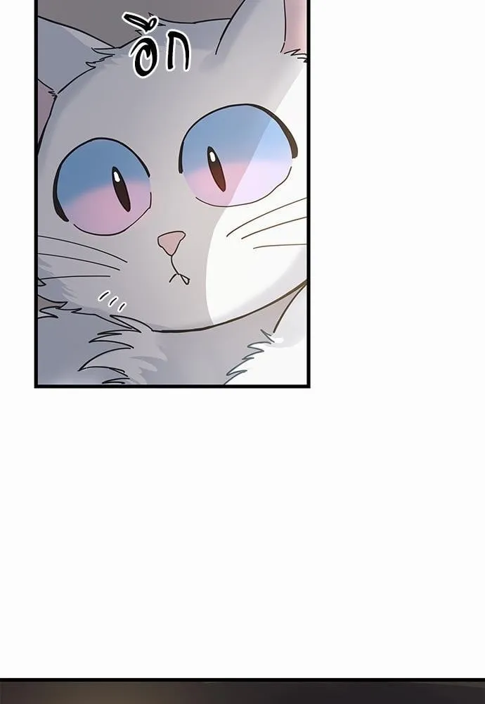 My One and Only Cat ตอนที่ 3657